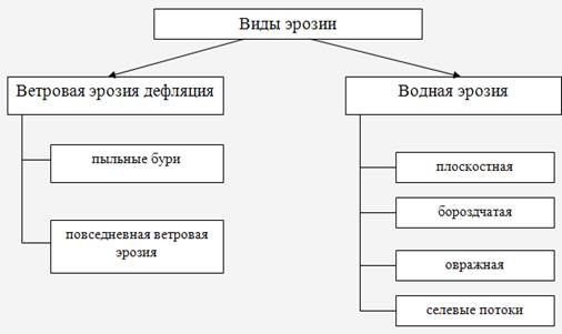 Водная Эрозия Почв Реферат